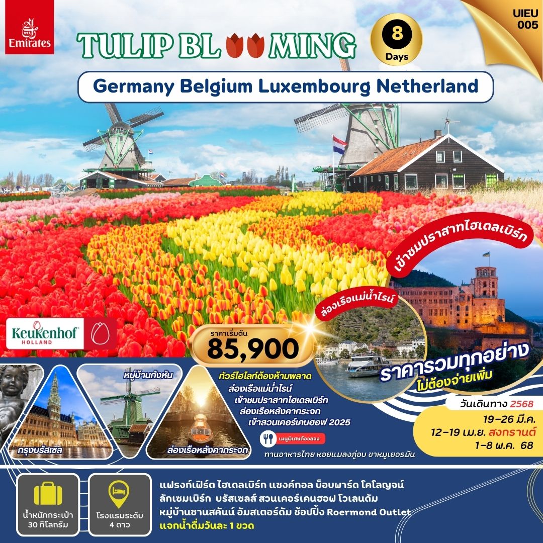 TULIP BLOOMING เยอรมัน ลักเซมเบิร์ก เบลเยี่ยม เนเธอร์แลนด์ 8 วัน