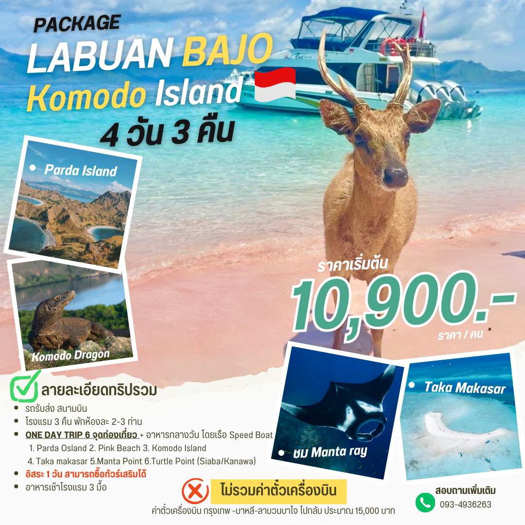 Komodo Island แพ็คเกจ 4 วัน 3 คืน